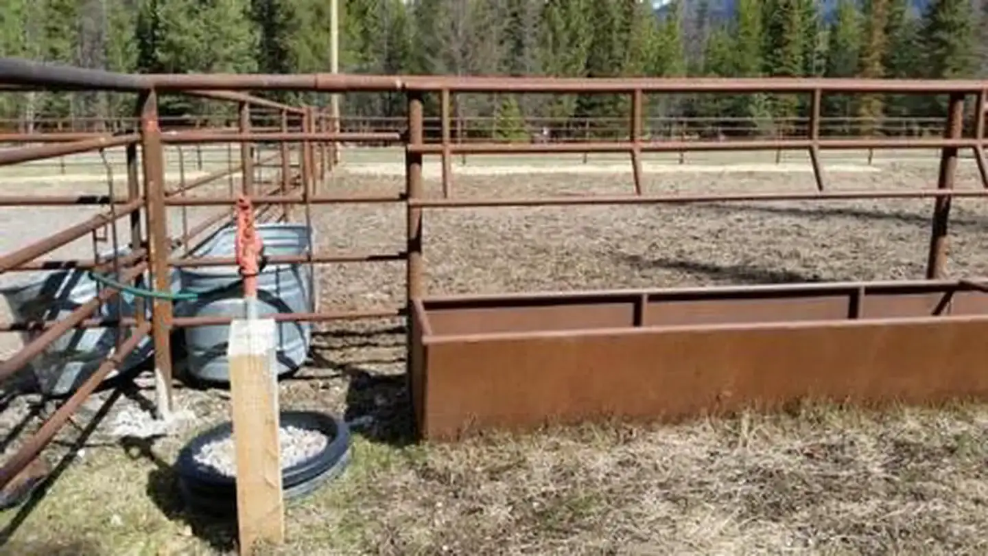 Camper-submitted photo at Owl Creek Packer Camp near Missoula, MT
