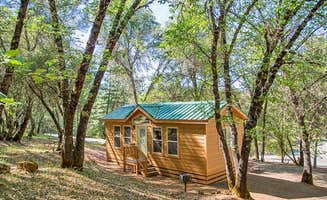 The Dyrt's photo of a cabin at Thousand Trails Lake of the Springs near Norden, CA