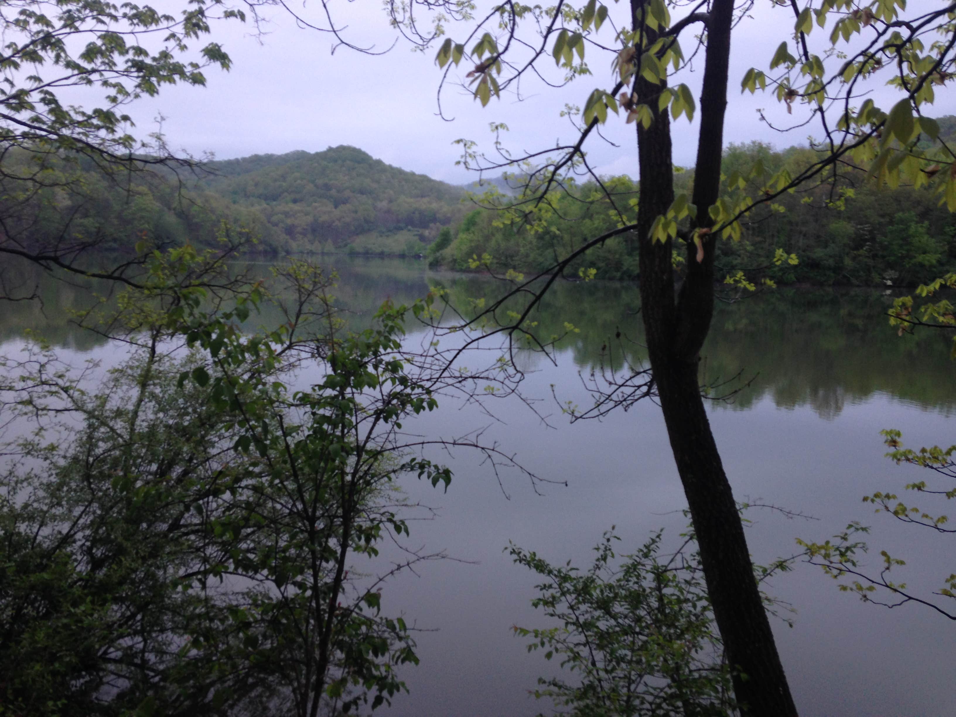 Camper submitted image from Stonewall Resort State Park Campground - 2