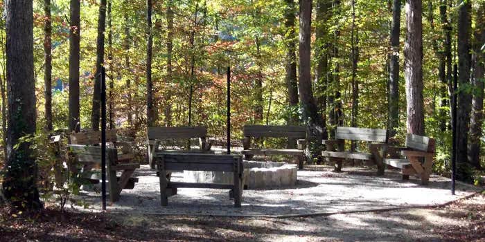 Camper submitted image from Daniel Boone National Forest Boat Gunnel Group Campground