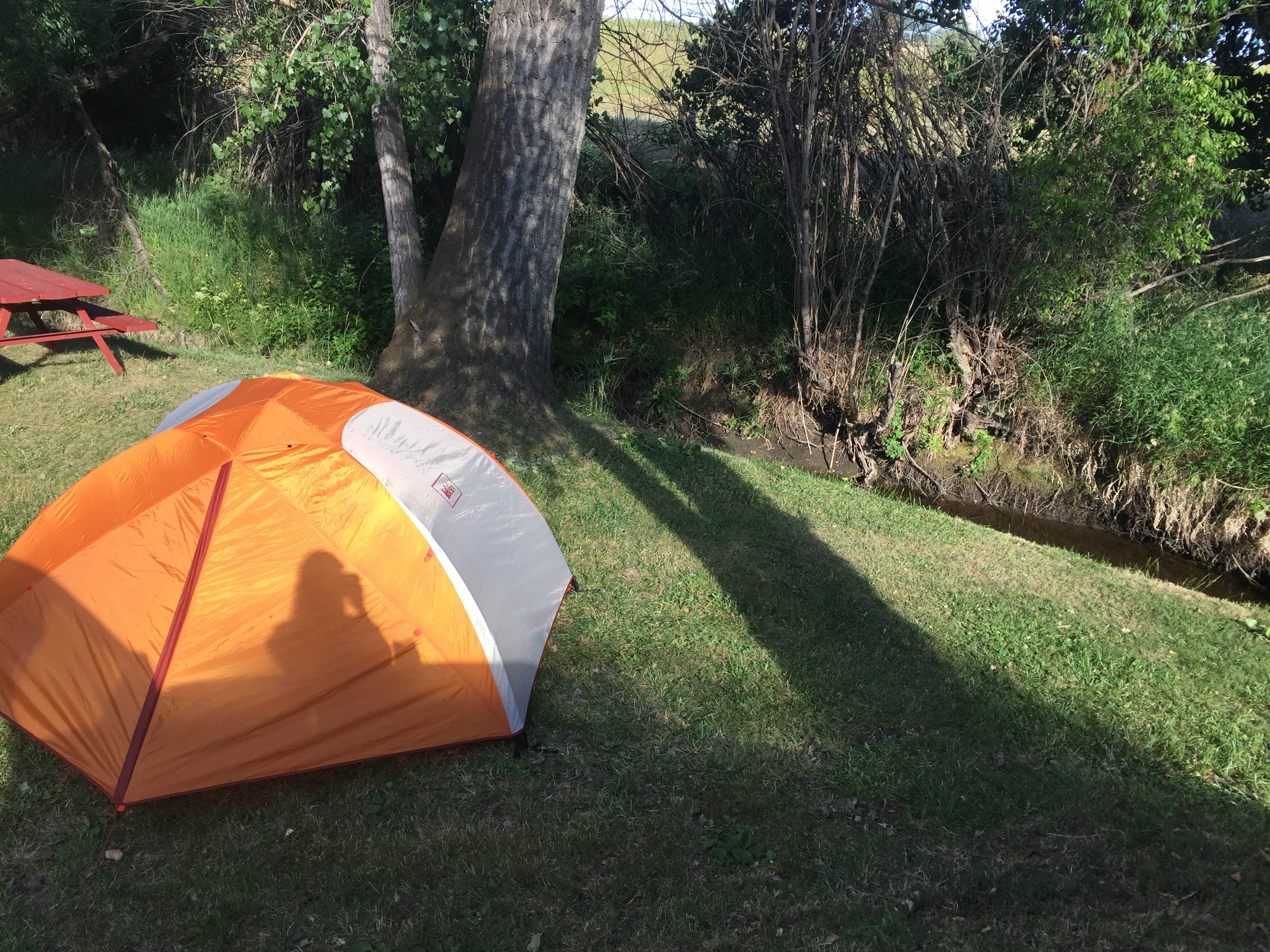 Camper-submitted photo at Indian Campground near Buffalo, WY