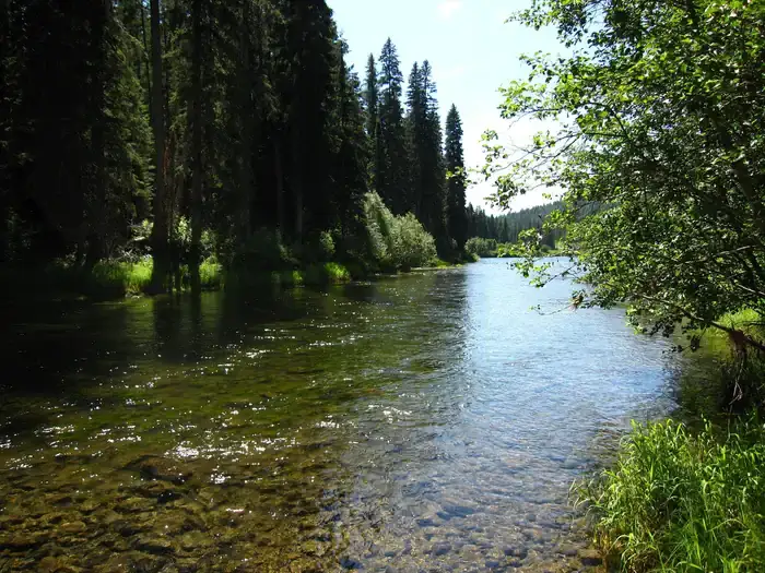 Camper-submitted photo at Whitetail Yurt near Moyie Springs, ID