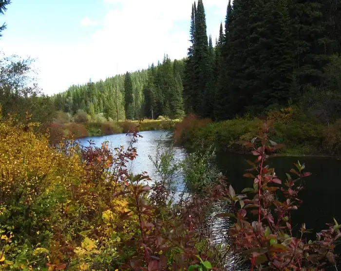 Camper-submitted photo at Whitetail Yurt near Moyie Springs, ID