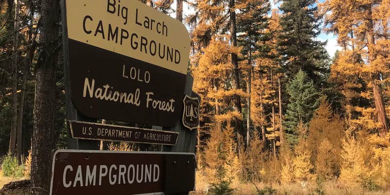 Camper submitted image from Big Larch Campground