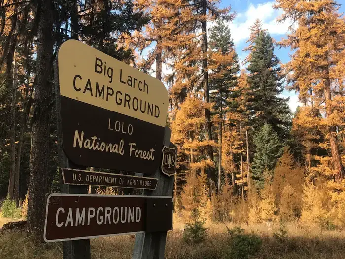Camper-submitted photo at Big Larch Campground near Seeley Lake, MT