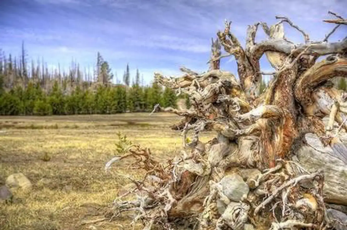Camper-submitted photo at Three Creeks Meadow Campground near Redmond, OR