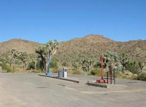 Black Rock Campground — Joshua Tree National Park