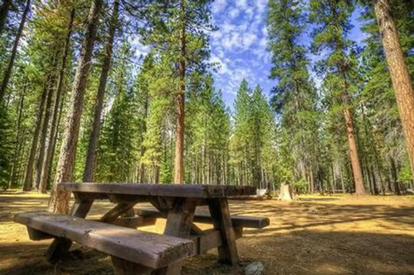 Camper-submitted photo at Jack Creek Campground near Camp Sherman, OR