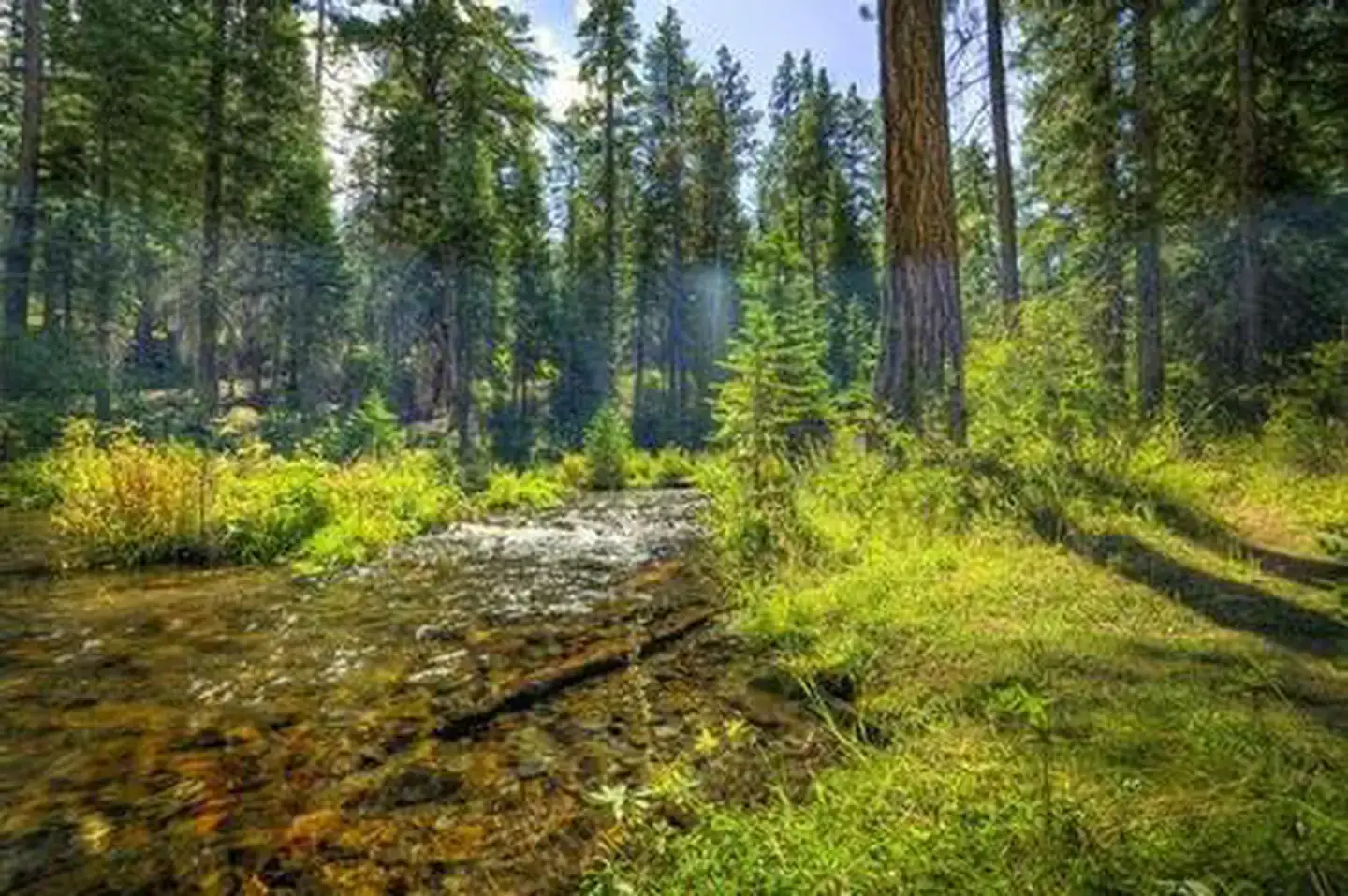 Camper-submitted photo at Jack Creek Campground near Camp Sherman, OR