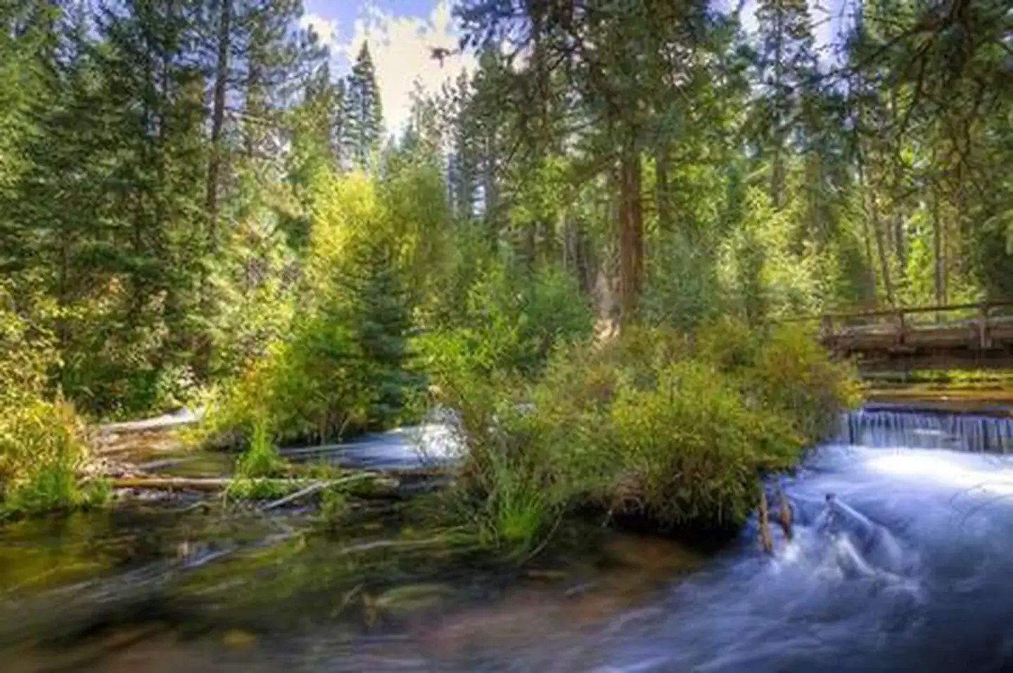 Camper-submitted photo at Jack Creek Campground near Camp Sherman, OR