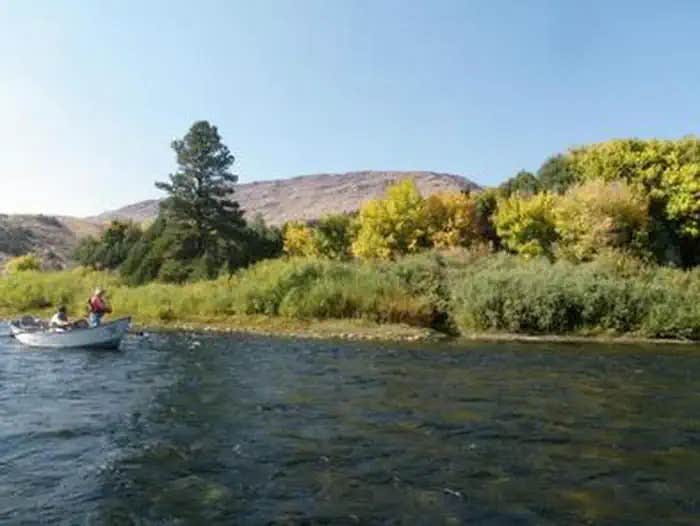 Camper submitted image from Green River Float-In Campsites - 1