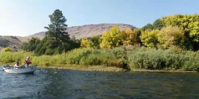 Camper submitted image from Green River Float-In Campsites