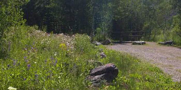 Camper submitted image from Easley Campground