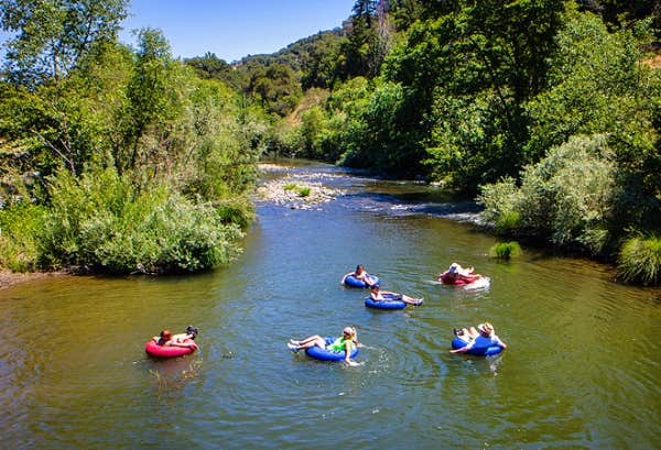 Camper-submitted photo at Thousand Trails Russian River near Geyserville, CA