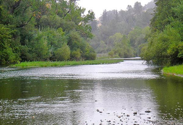 Camper submitted image from Thousand Trails Russian River - 4