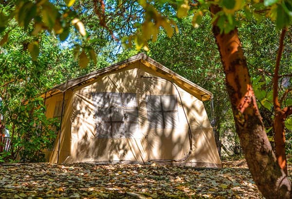 The Dyrt's photo of a cabin at Thousand Trails Russian River near Occidental, CA