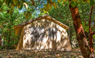 The Dyrt's photo of a cabin at Thousand Trails Russian River near Mendocino National Forest