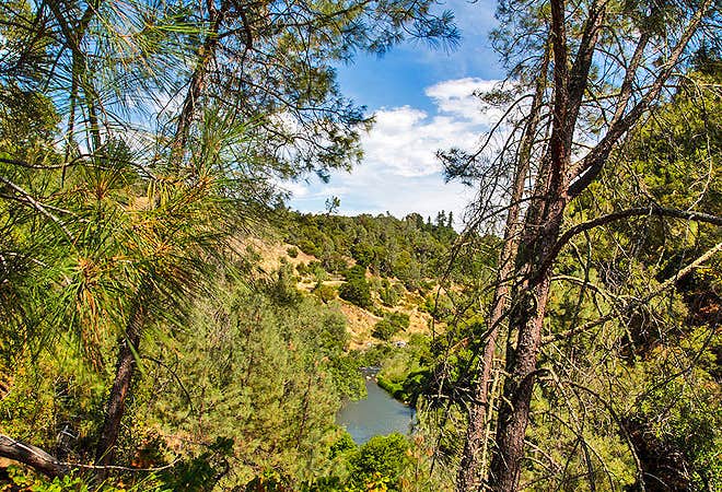 Camper-submitted photo at Thousand Trails Russian River near Geyserville, CA