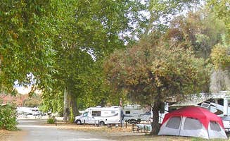 The Dyrt's photo at Thousand Trails San Benito near San Juan Bautista, CA