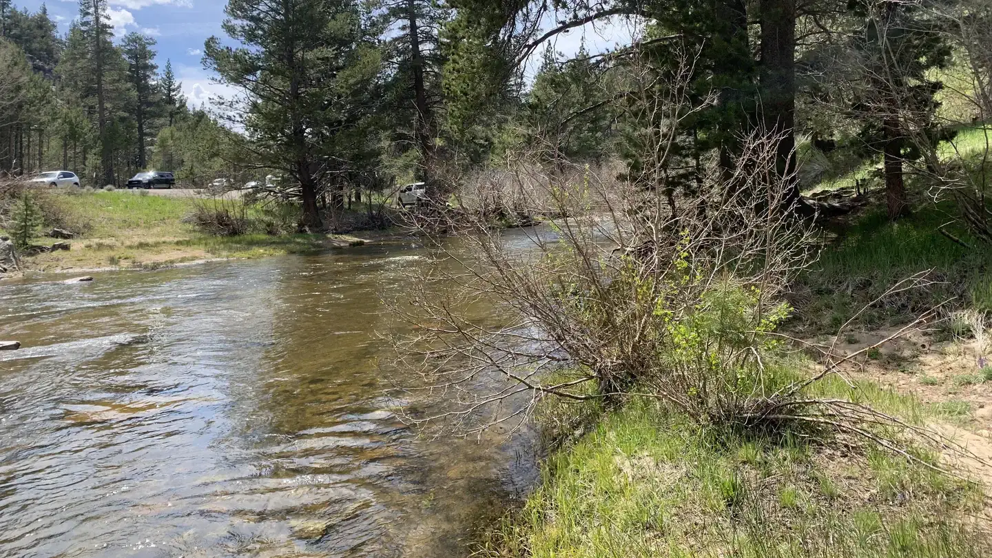 Camper-submitted photo at Kit Carson Campground near Markleeville, CA