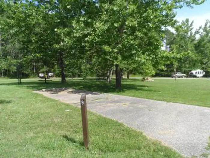 Camper submitted image from Loggers Lake Campground - 1