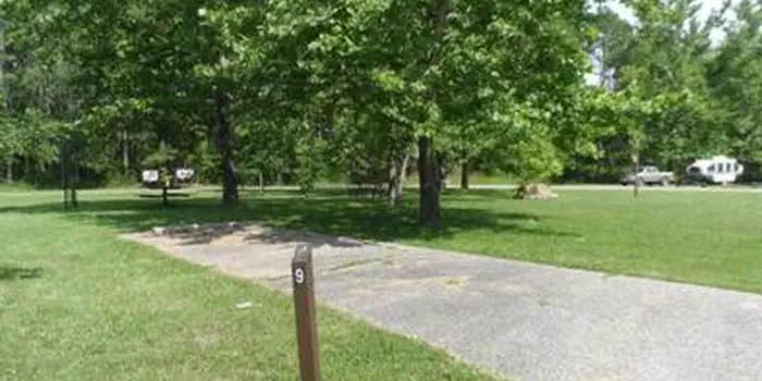 Camper submitted image from Loggers Lake Campground