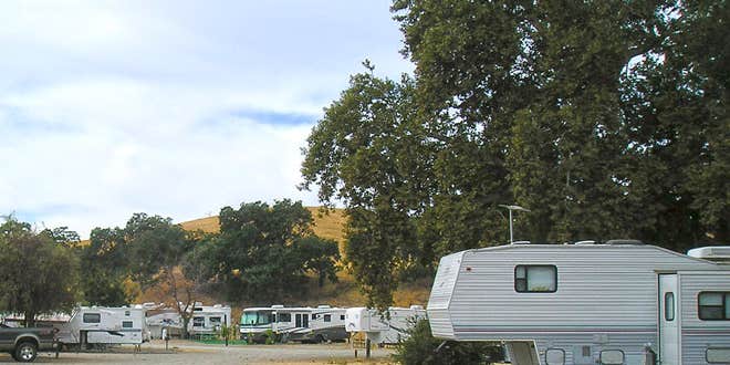 Camper submitted image from Thousand Trails San Benito