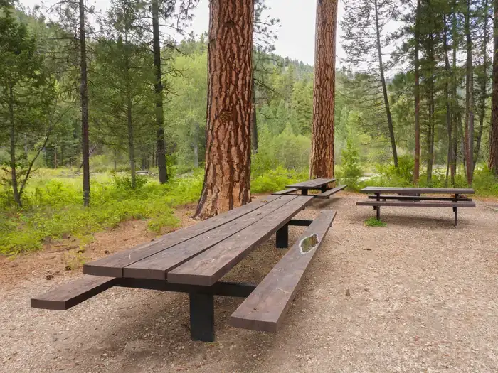 Camper-submitted photo at Rombo Campground near Gibbonsville, ID