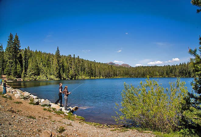 Camper-submitted photo at Thousand Trails Snowflower near Calpine, CA