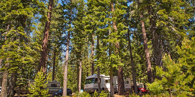 Camper submitted image from Thousand Trails Snowflower