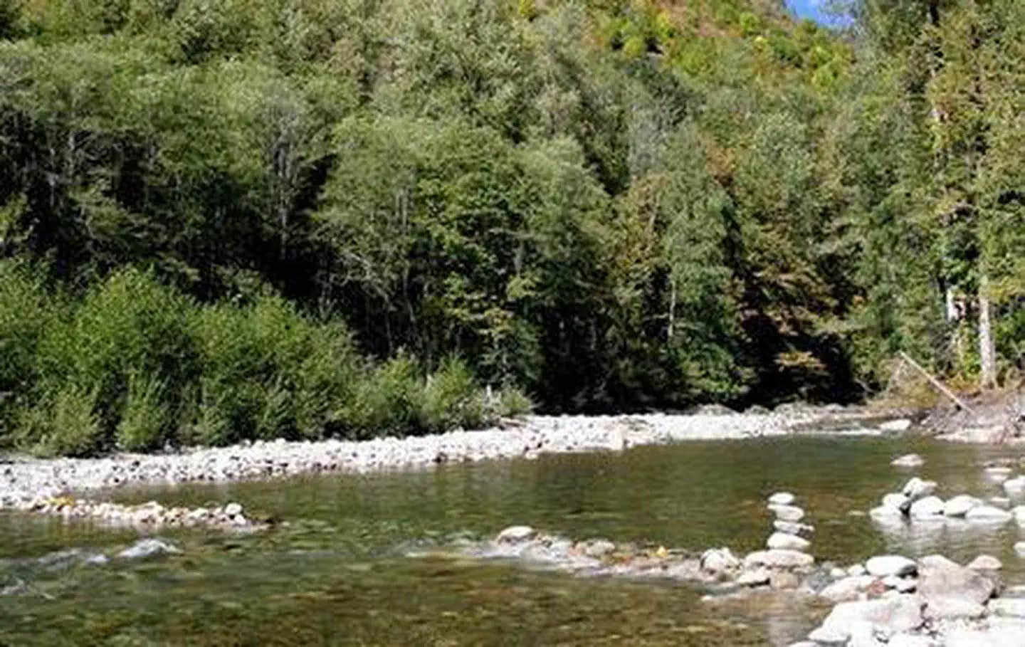 Camper submitted image from Beckler River Campground - 1