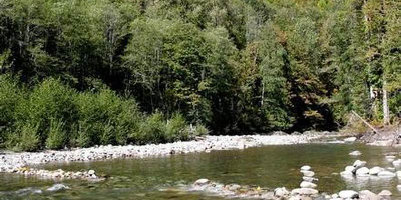 Camper submitted image from Beckler River Campground