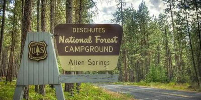 Camper submitted image from Allen Springs Campground