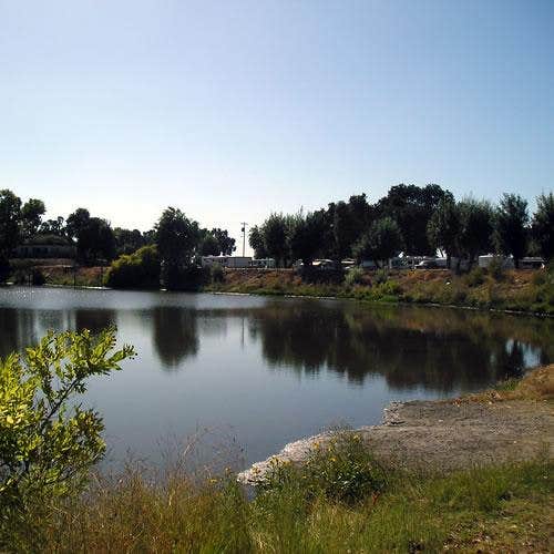 Camper-submitted photo at Thousand Trails Turtle Beach near Stockton, CA