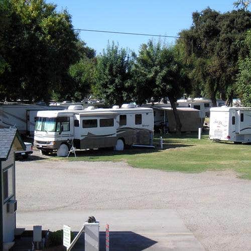 Camper submitted image from Thousand Trails Turtle Beach - 3