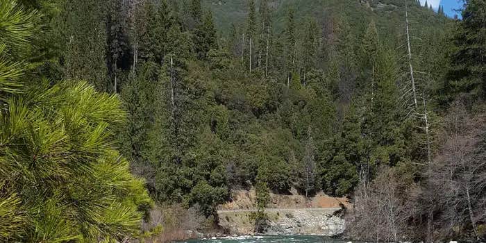 Camper submitted image from Union Flat