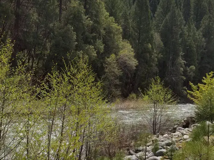 Camper-submitted photo at Union Flat near Plumas National Forest