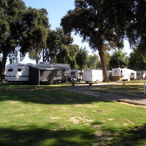 Camper submitted image from Thousand Trails Turtle Beach - 2