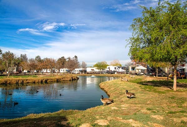Camper-submitted photo at Thousand Trails Wilderness Lakes RV Resort near San Jacinto, CA