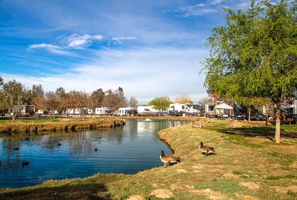 Hemet Rv Hemet, CA - Best Campgrounds for Tent, RV & Cabin Camping
