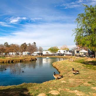 Near Riverside Ca THE 10+ BEST RV Parks near Riverside, CA