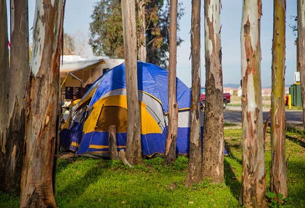 The Dyrt's photo at Thousand Trails Wilderness Lakes RV Resort near San Jacinto, CA