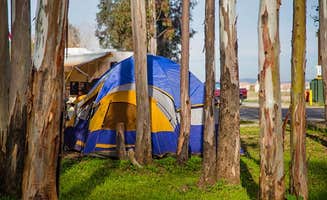 The Dyrt's photo at Thousand Trails Wilderness Lakes RV Resort near Menifee, CA