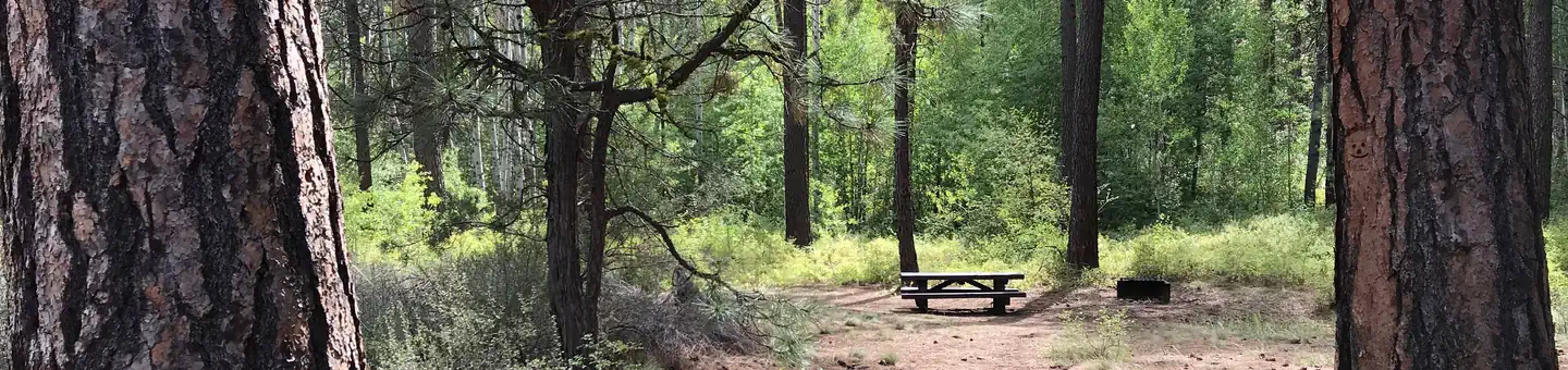Camping near Forest Road 100- Sisters Oregon: Indian Ford Campground, Sisters, Oregon