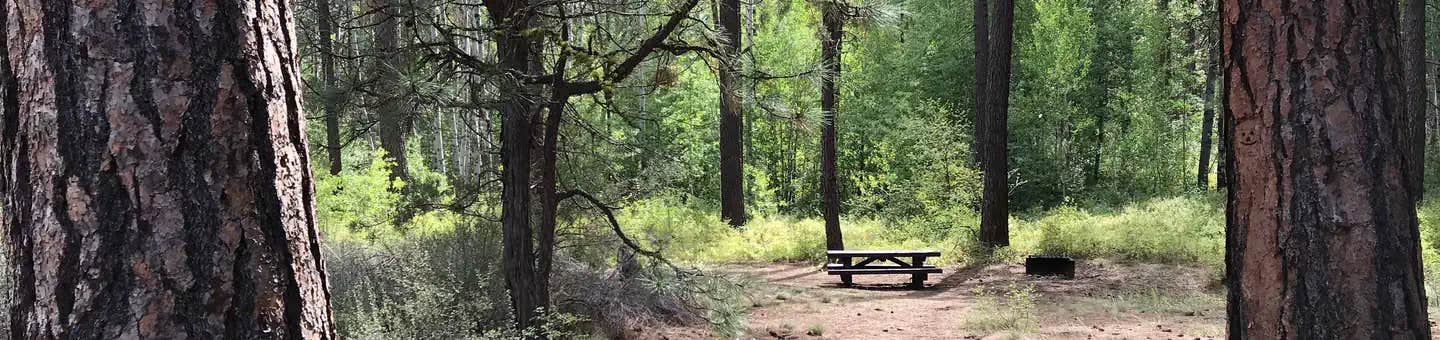 Camper submitted image from Indian Ford Campground - 1