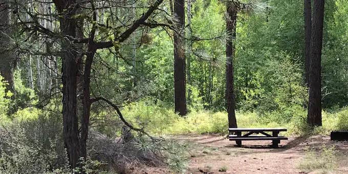 Camper submitted image from Indian Ford Campground