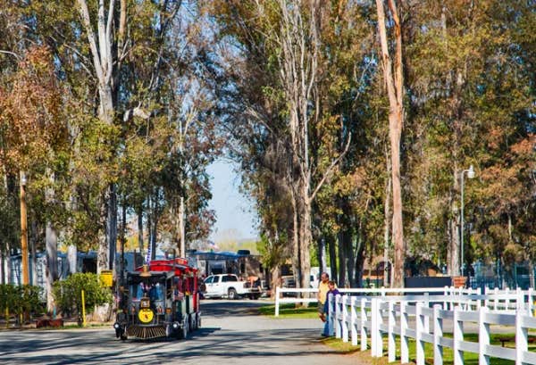 Camper-submitted photo at Thousand Trails Wilderness Lakes RV Resort near San Jacinto, CA