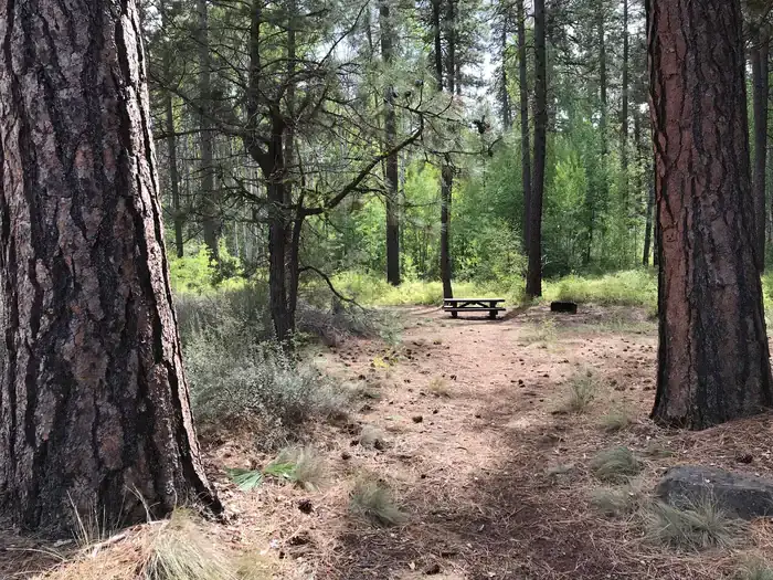 Camper-submitted photo at Indian Ford Campground near Sisters, OR