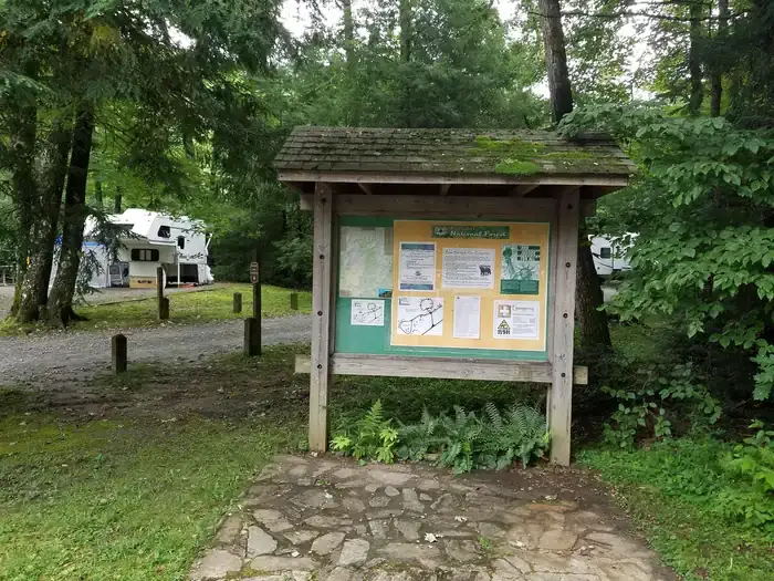 Camper-submitted photo at Black Mountain Campground - CLOSED INDEFINITELY near Swannanoa, NC