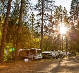 Camper-submitted photo from Thousand Trails Yosemite Lakes